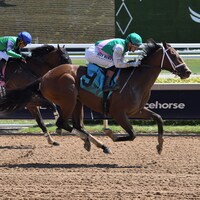 Sovereign Law breaking his maiden at Gulfstream Park