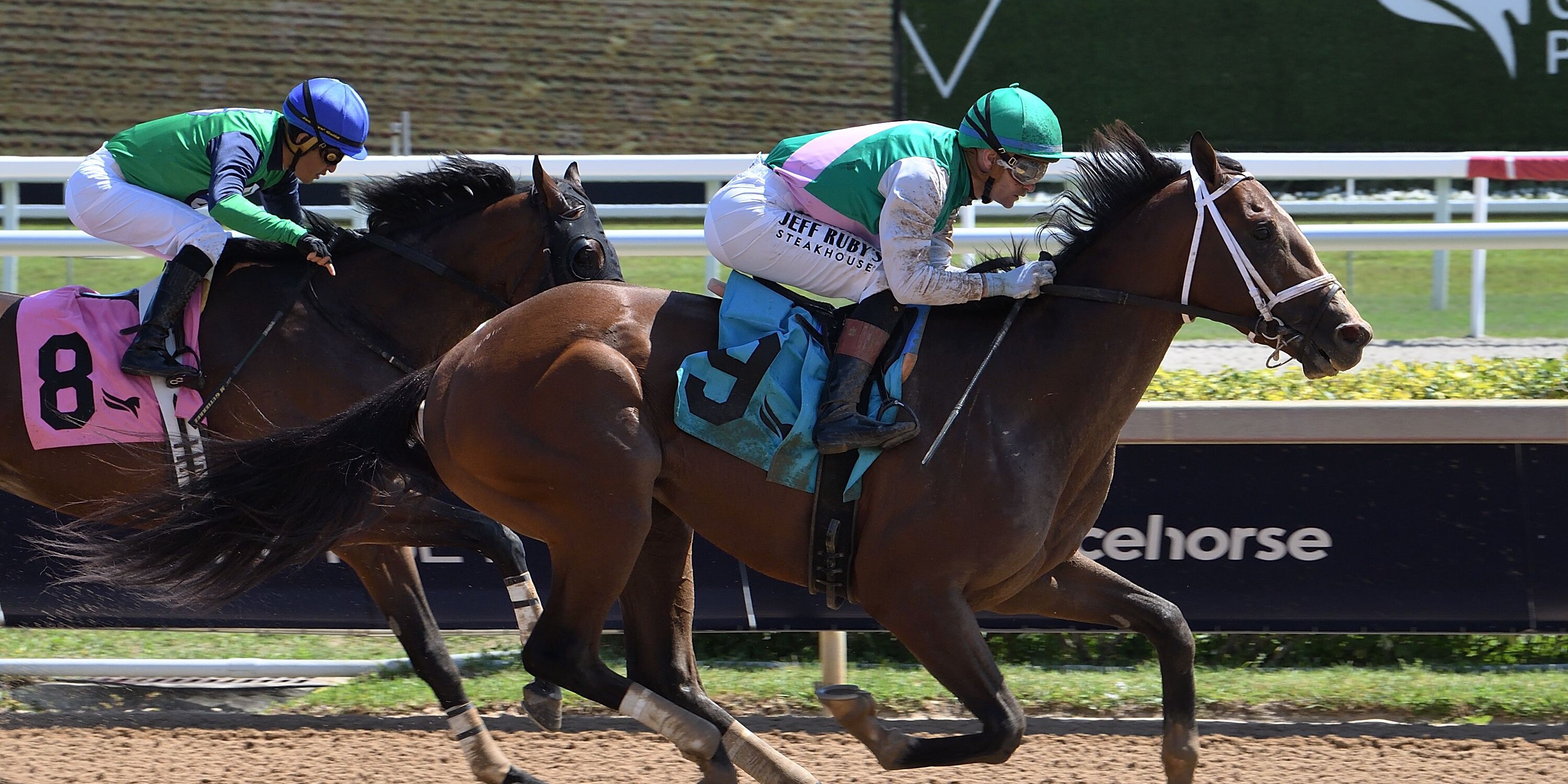 Sovereign Law breaking his maiden at Gulfstream Park