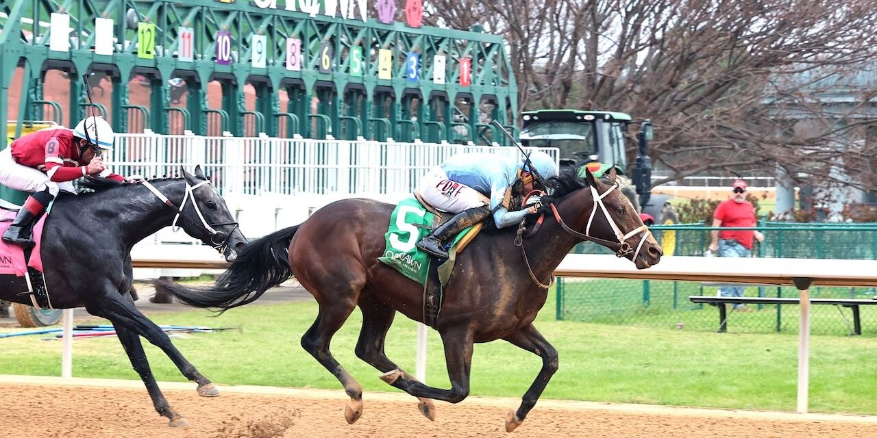 Spirit of Royal wins at Oaklawn Park.