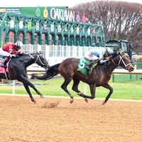 Spirit of Royal wins at Oaklawn Park.