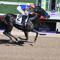 Splendora winning the Breeders' Cup Filly & Mare Sprint (G1) at Del Mar