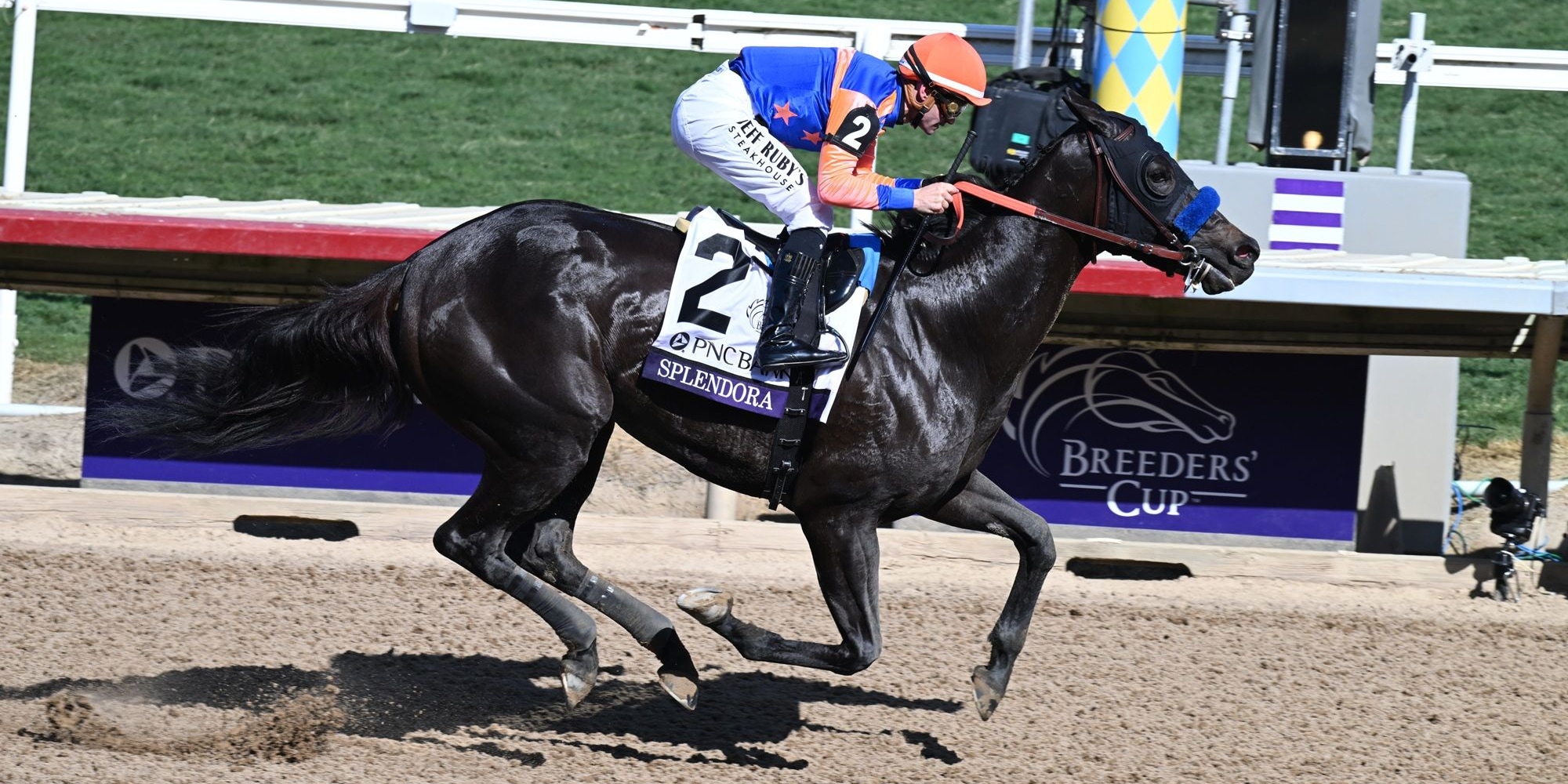 Splendora winning the Breeders' Cup Filly & Mare Sprint (G1) at Del Mar