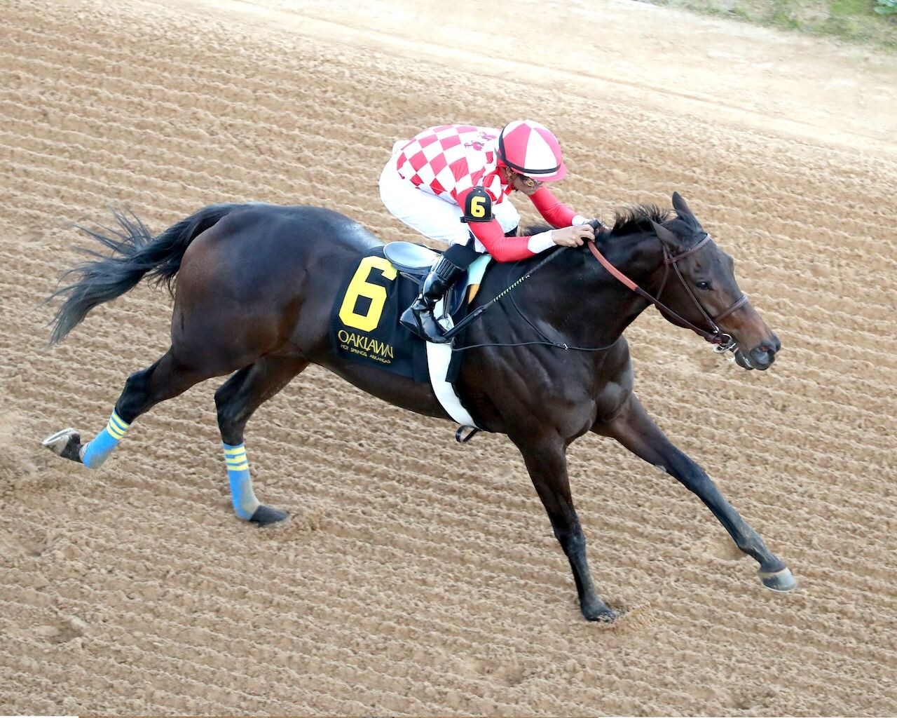 Standoutsensation wins the Pippin Stakes at Oaklawn Park. 
