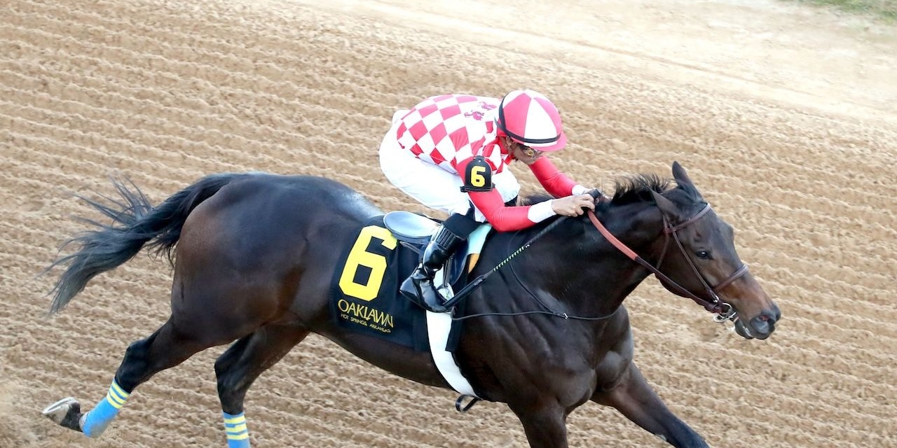 Standoutsensation wins the Pippin Stakes at Oaklawn Park. 