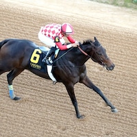 Standoutsensation wins the Pippin Stakes at Oaklawn Park. 