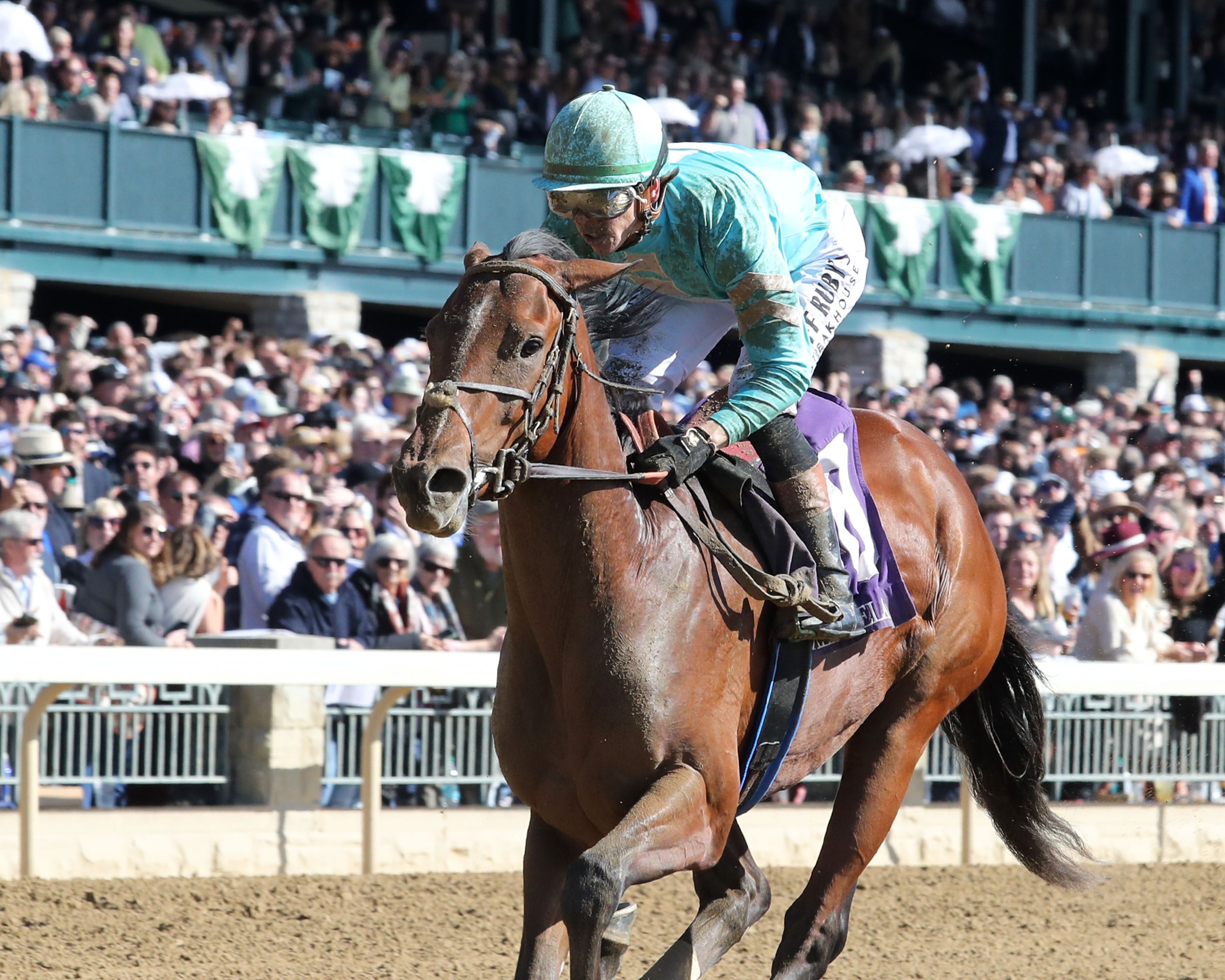 Stop The Car wins at Churchill Downs.