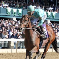 Stop The Car wins at Churchill Downs.