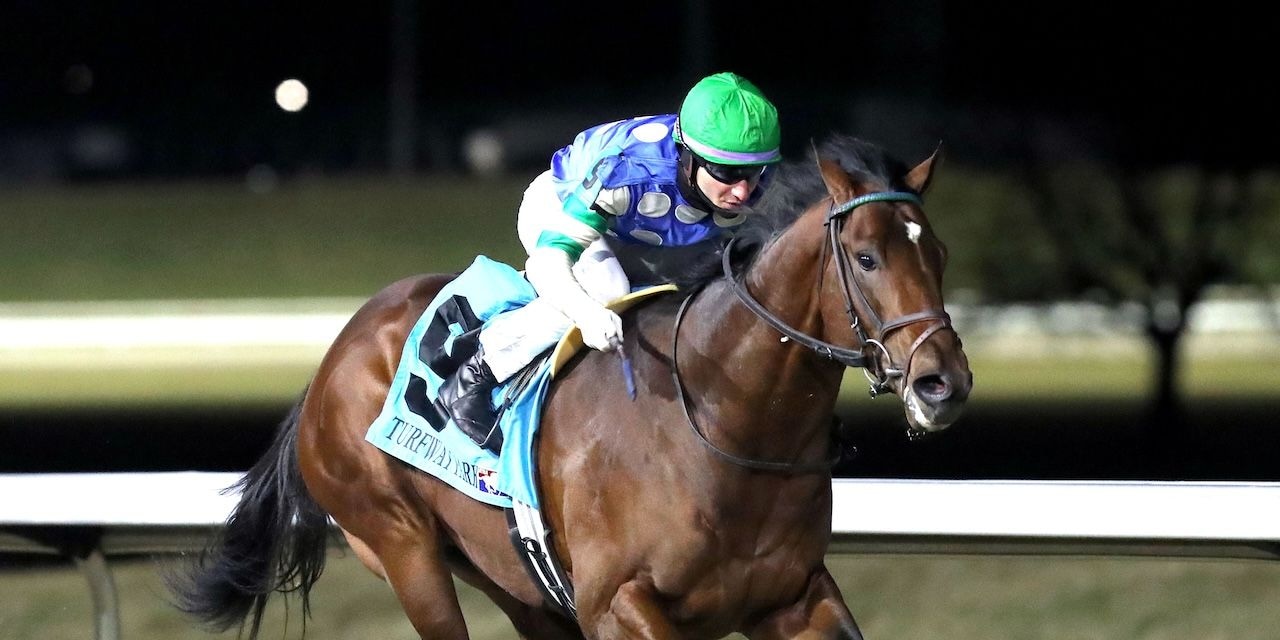 Street Beast wins the Leonautus Stakes at Turfway Park.