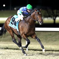 Street Beast wins the Leonautus Stakes at Turfway Park.