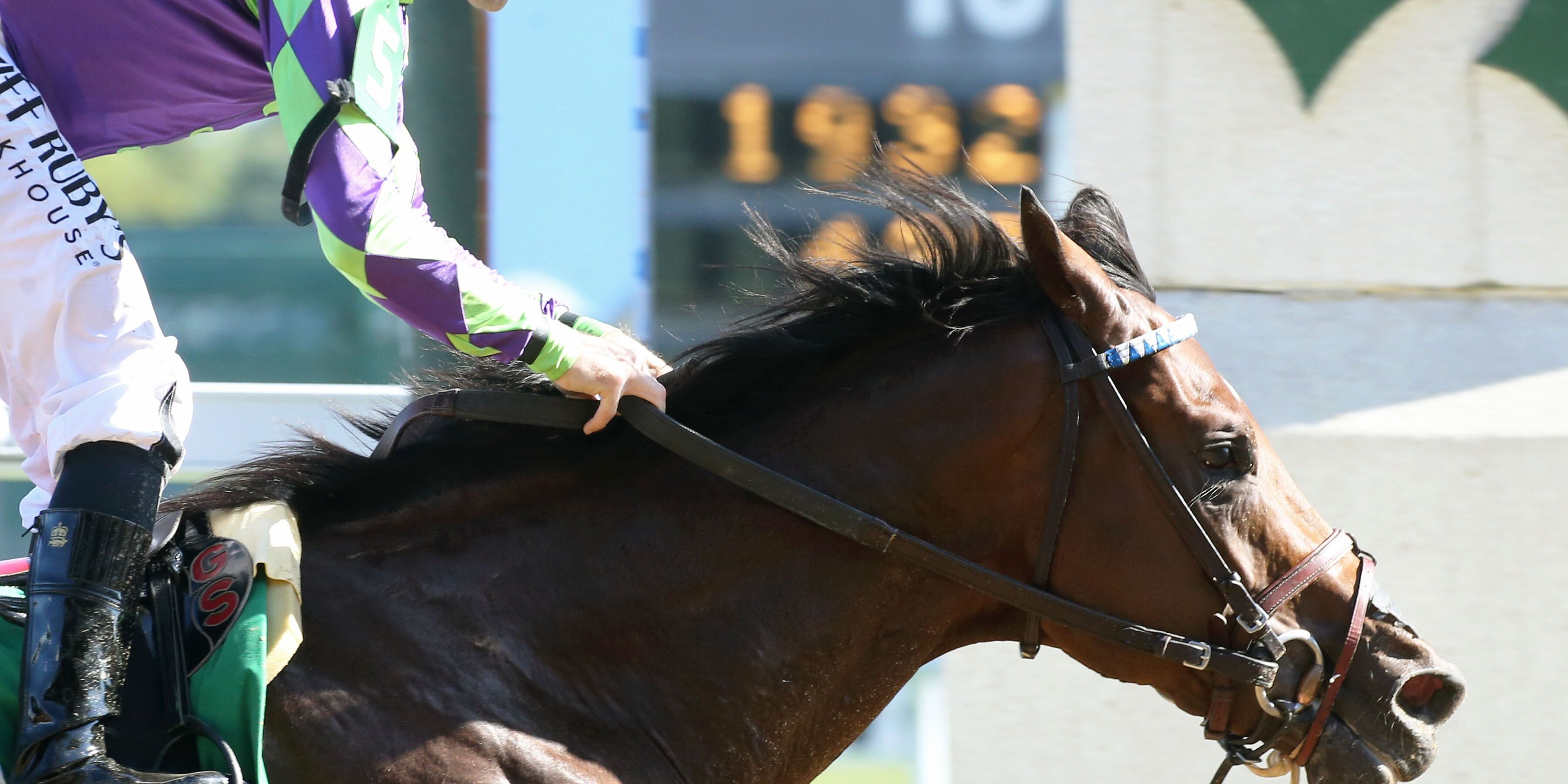 Stronghold breaking his maiden at Churchill Downs (Photo by Coady Photography)