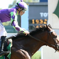 Stronghold breaking his maiden at Churchill Downs (Photo by Coady Photography)