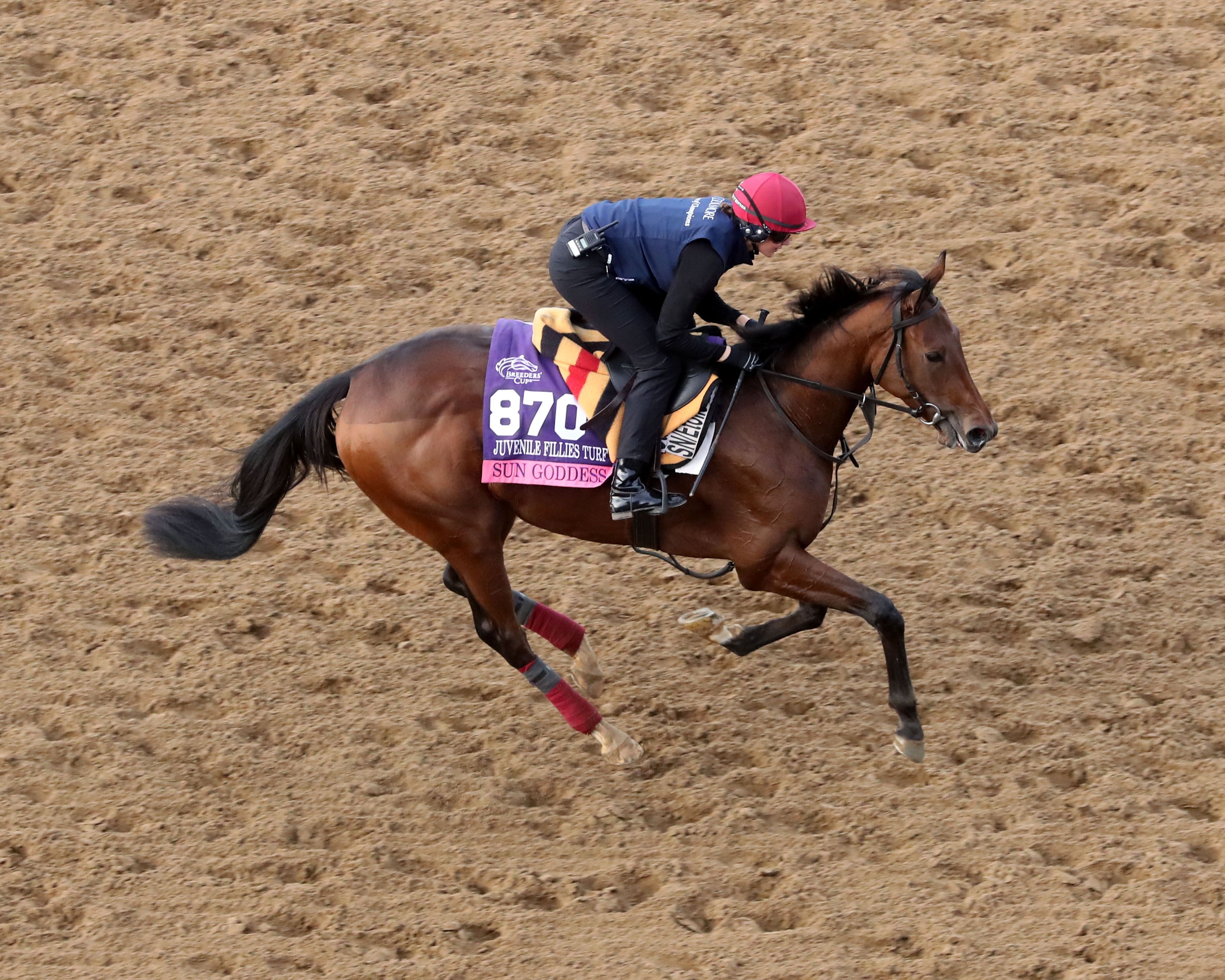 Sun Goddess galloping at Keeneland.