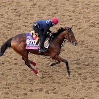 Sun Goddess galloping at Keeneland.