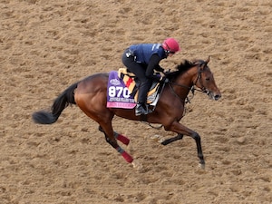 Sun Goddess galloping at Keeneland.