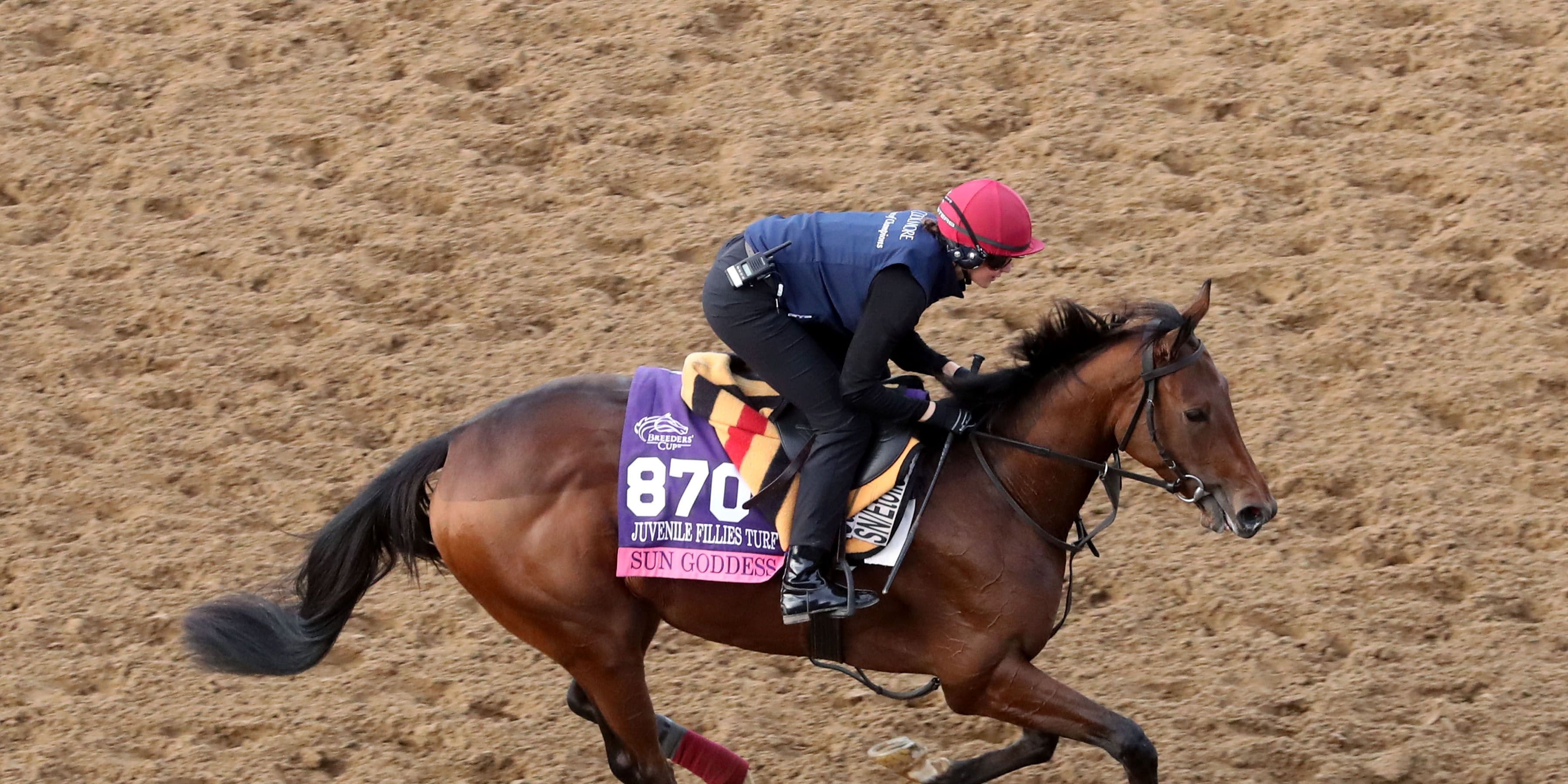 Sun Goddess galloping at Keeneland.
