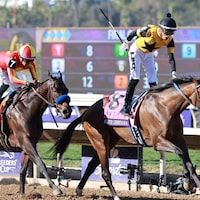 Super Corredora upsets the Breeders' Cup Juvenile Fillies (G1) at Del Mar