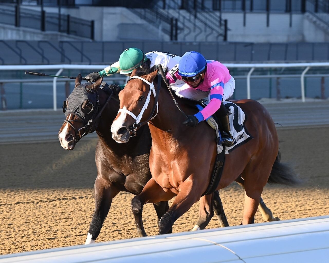 Sacrosanct wins the New York Stallion Series Stakes at Aquedcut.