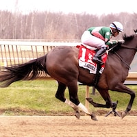 Saddle Up Jessie wins the 2023 Carousel S. (Photo by Jim McCue/MJC)
