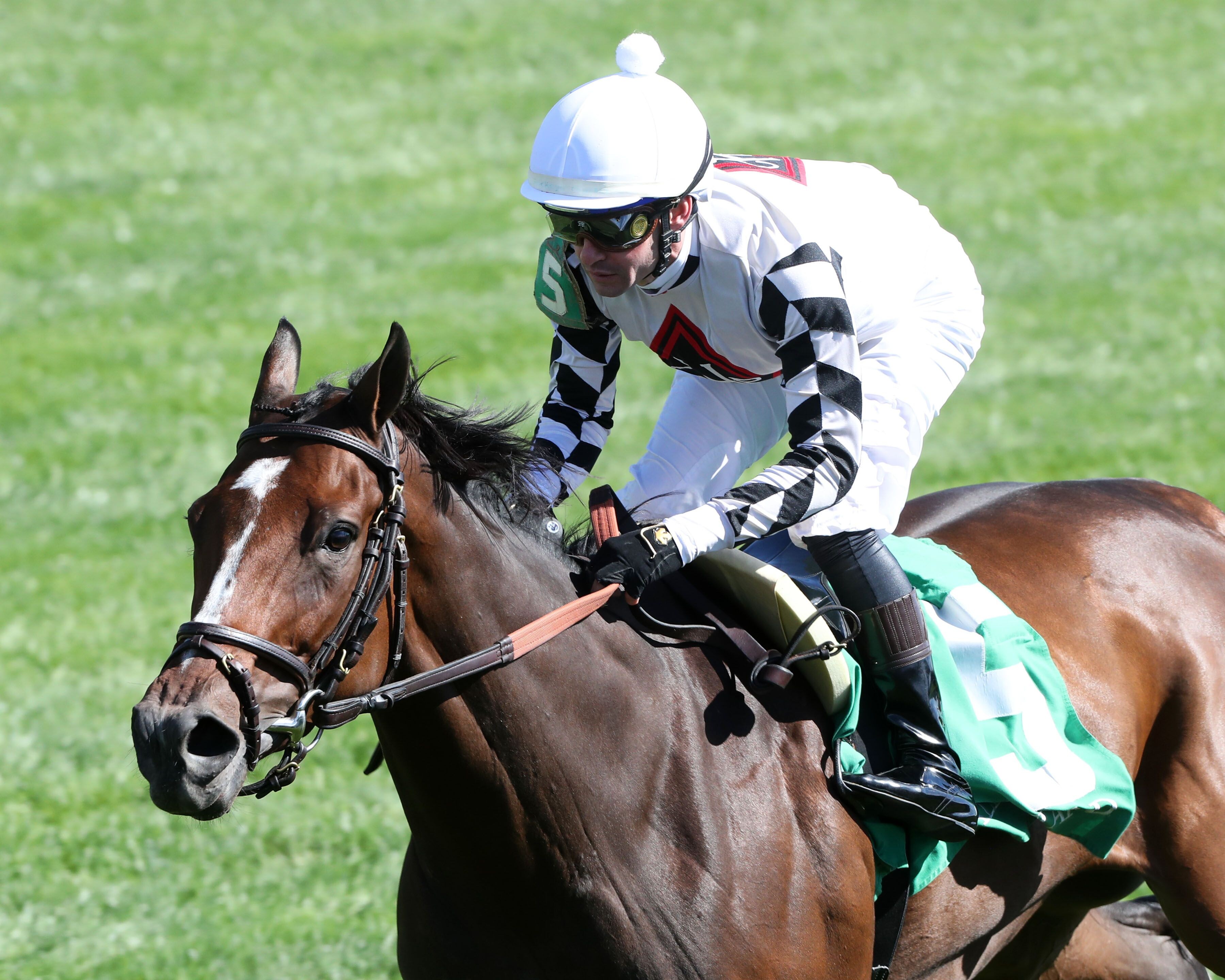 Saffron Moon wins at Keeneland