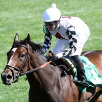 Saffron Moon wins at Keeneland