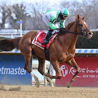 Sand Devil wins at Aqueduct.