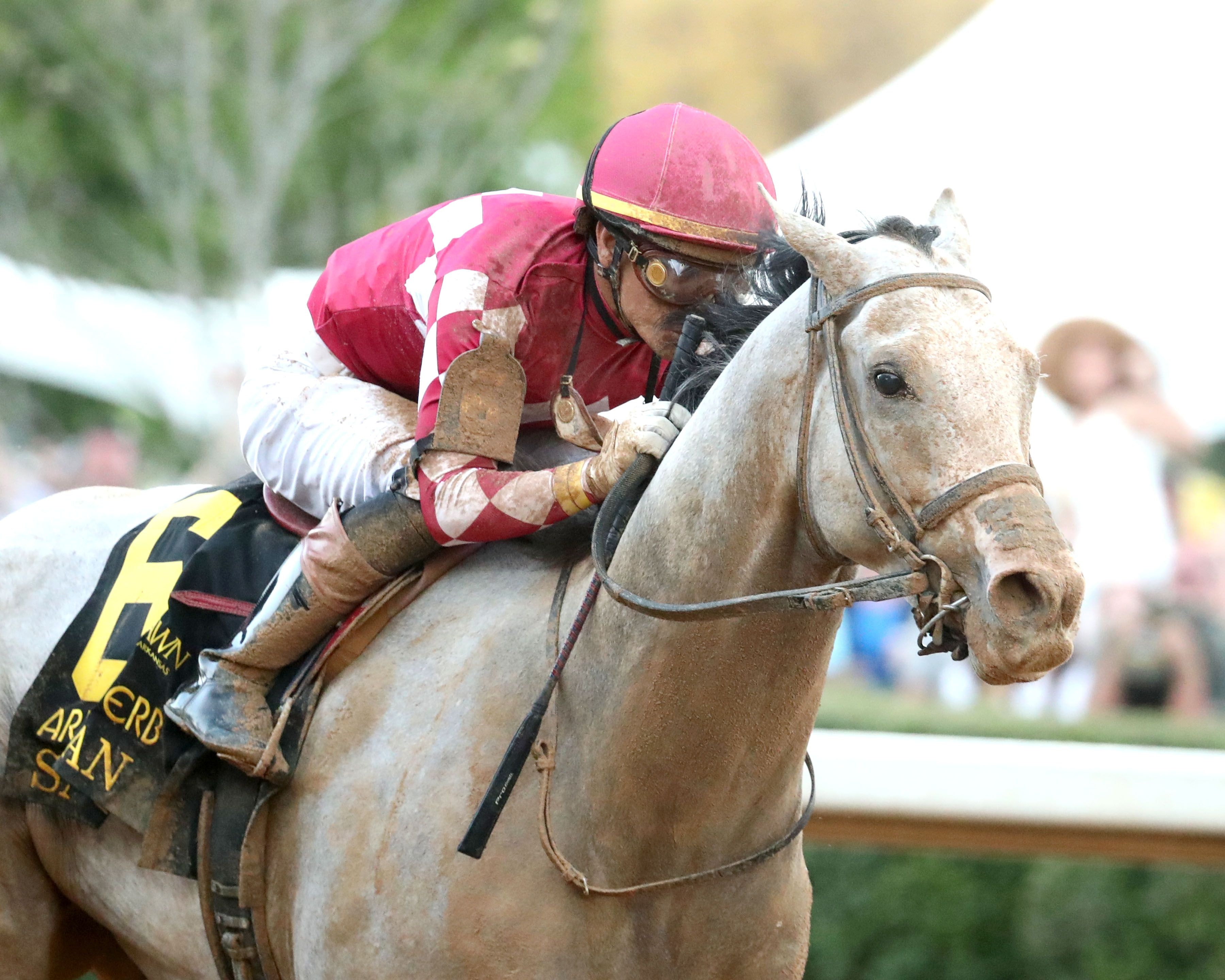 Sandman winning the Arkansas Derby (G1) at Oaklawn Park