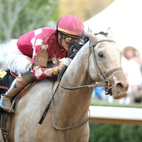 Sandman winning the Arkansas Derby (G1) at Oaklawn Park