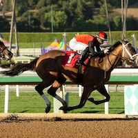Sandy Bottom wins the Anoakia Stakes at Santa Anita Park.
