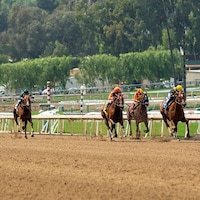 Racing at Santa Anita