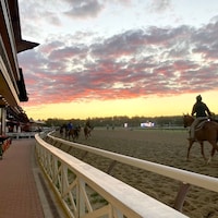 Saratoga scenic on Travers Stakes Day.