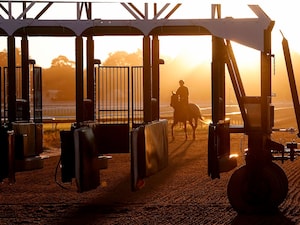Saratoga scenic on Travers Stakes Day. 