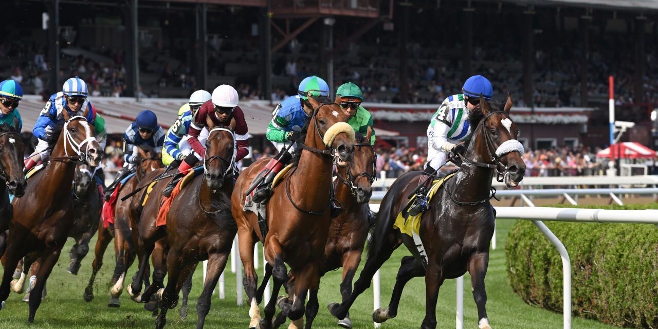 Turf racing at Saratoga