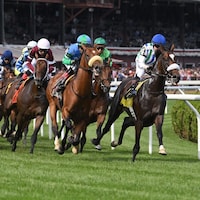 Turf racing at Saratoga