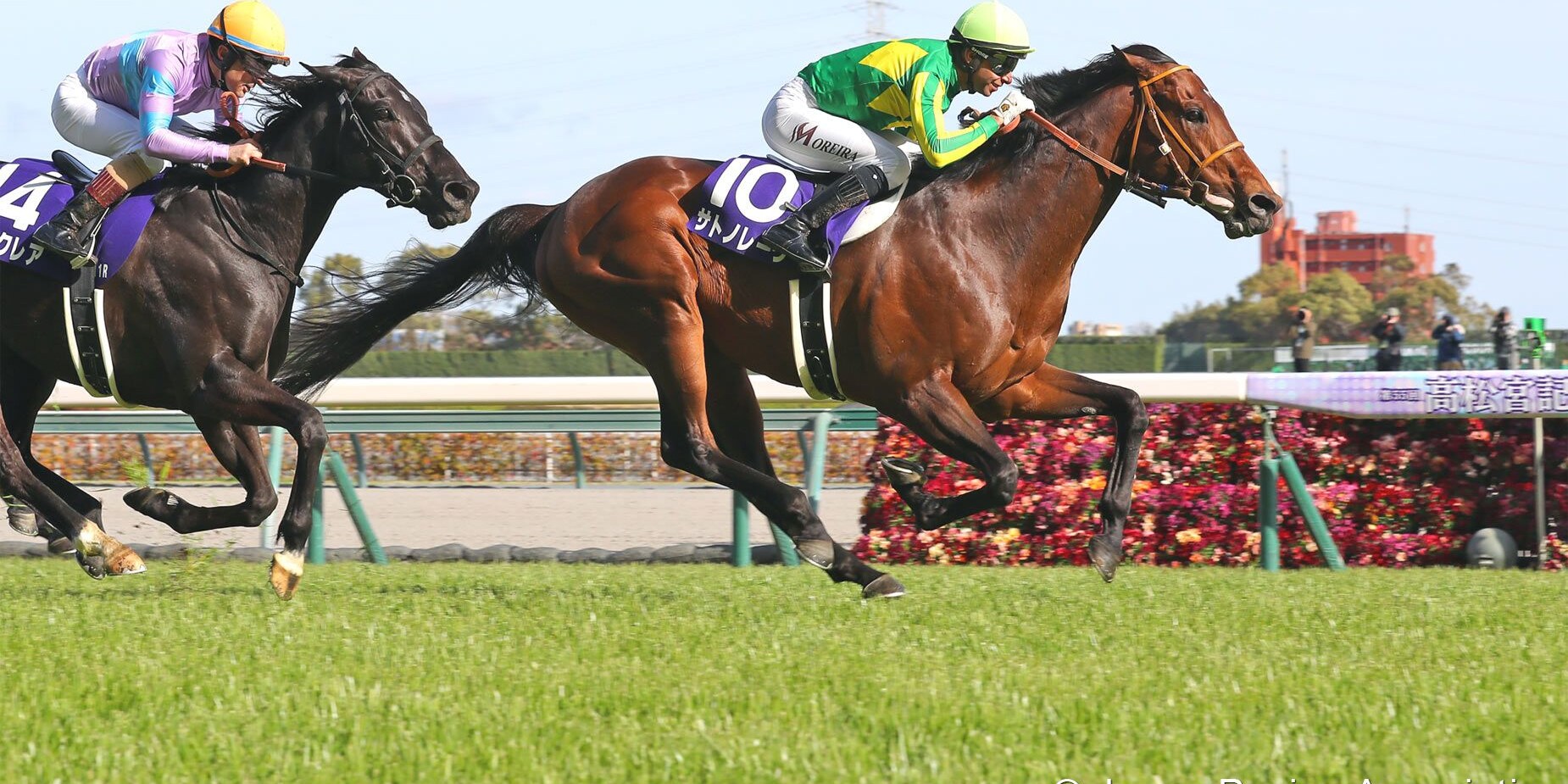 Satono Reve wins the Takamatsunomiya Kinen at Chukyo