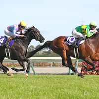 Satono Reve wins the Takamatsunomiya Kinen at Chukyo