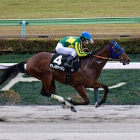Satono Voyage wins the Cattleya S. at Tokyo