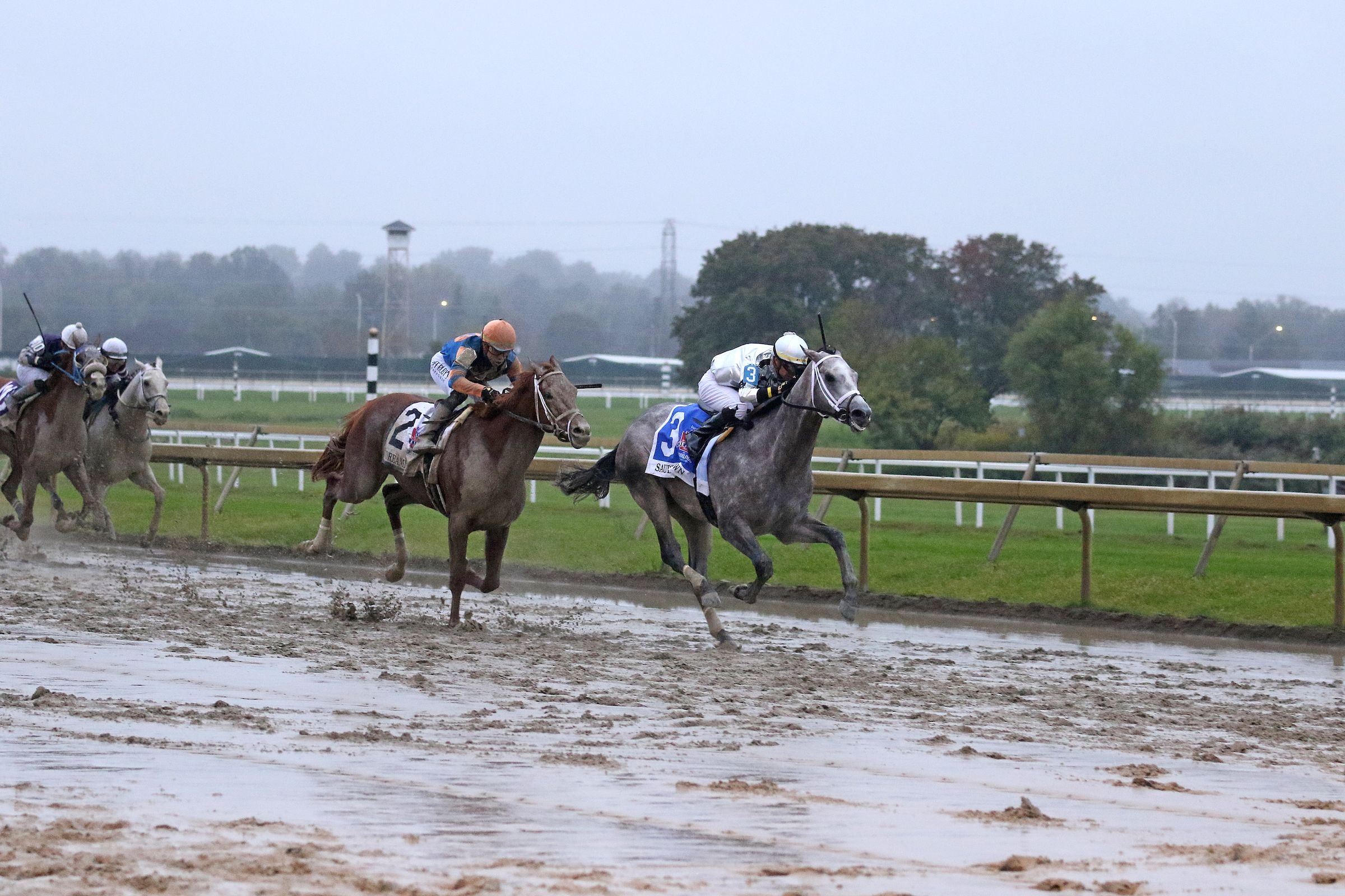 Saudi Crown wins Penn Derby
