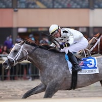 Saudi Crown winning the Pennsylvania Derby (G1) at Parx Racing (Photo by Equi-Photo)