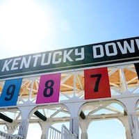 Kentucky Downs starting gate.