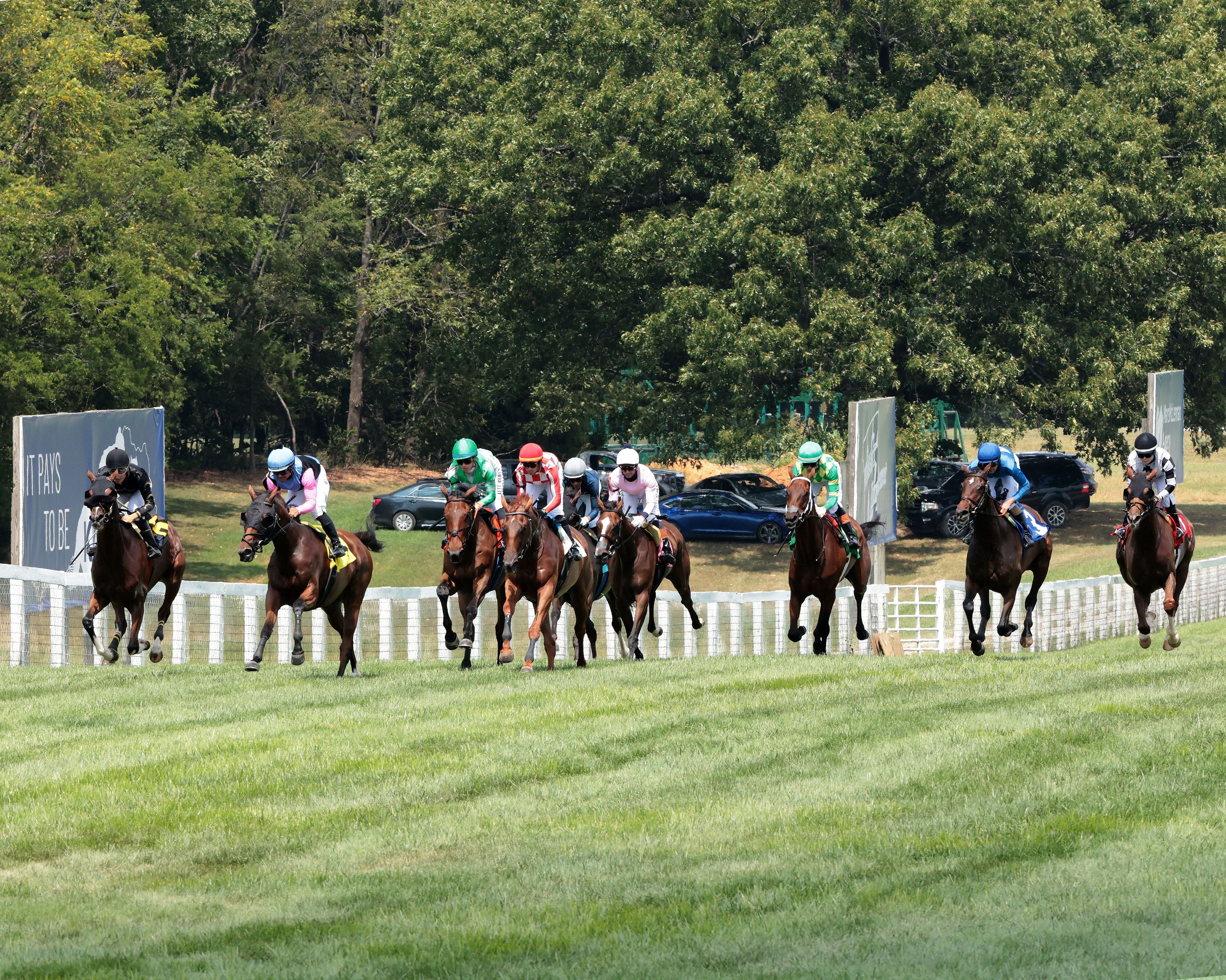 Scenic view of Kentucky Downs (Photo by Coady Media)