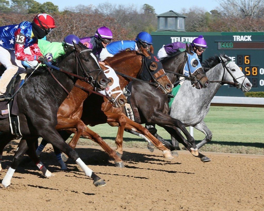 Horse racing at Oaklawn Park.