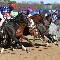 Horse racing at Oaklawn Park.