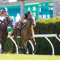 Schwarzenegger winning the Indian Summer S. at Keeneland