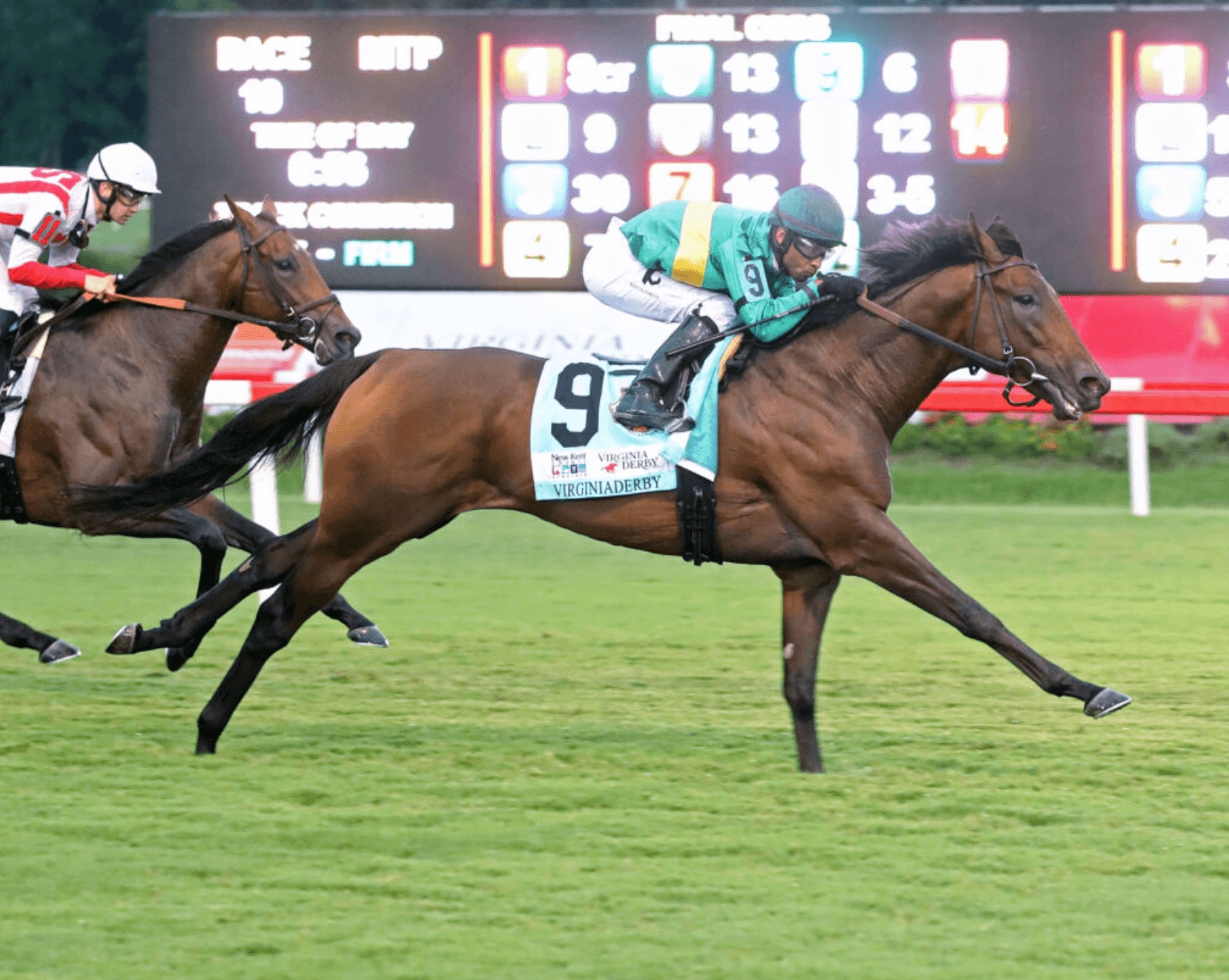 Integration in Woodbine at The New Kent County Virginia Derby (Photo by Coady Photography)