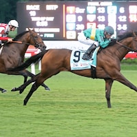 Integration in Woodbine at The New Kent County Virginia Derby (Photo by Coady Photography)