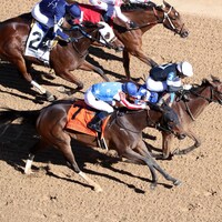 Search Party wins the Martha Washington Stakes at Oaklawn Park.