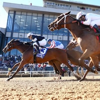 Search Party wins the Martha Washington Stakes at Oaklawn Park.