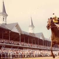 Seattle Slew wins the 1977 Kentucky Derby. (Photo courtesy of the Kentucky Derby/Churchill Downs)