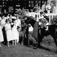 Seattle Slew after his win in the the 1977 Kentucky Derby. (Photo courtesy of the Kentucky Derby/Churchill Downs)