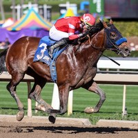 Secured Freedom broke his maiden on opening day at Santa Anita